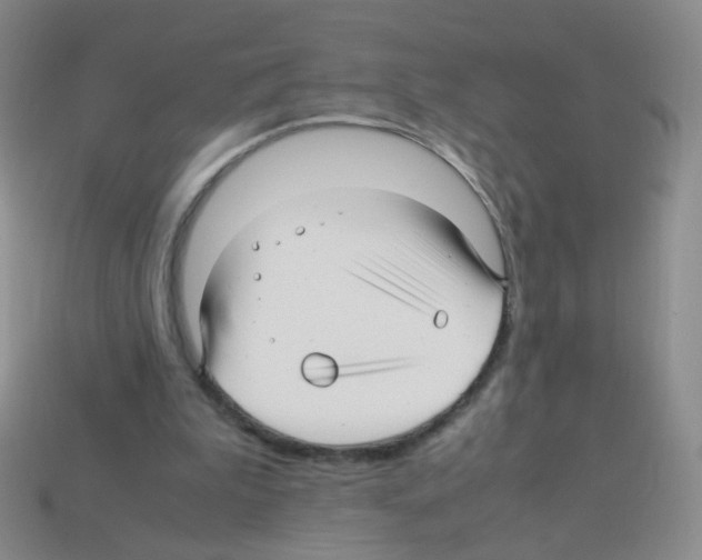 X0000113250199200910221128