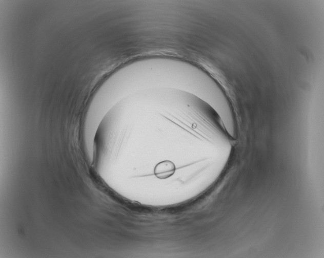 X0000113250201200910221128