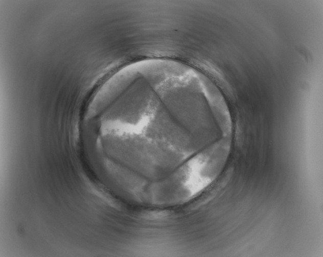 X0000113250202200910221128