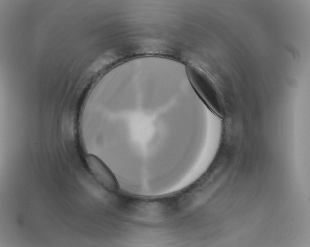 X0000113250203200910221128