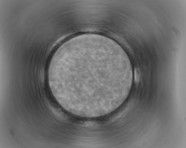 X0000113250204200910221128