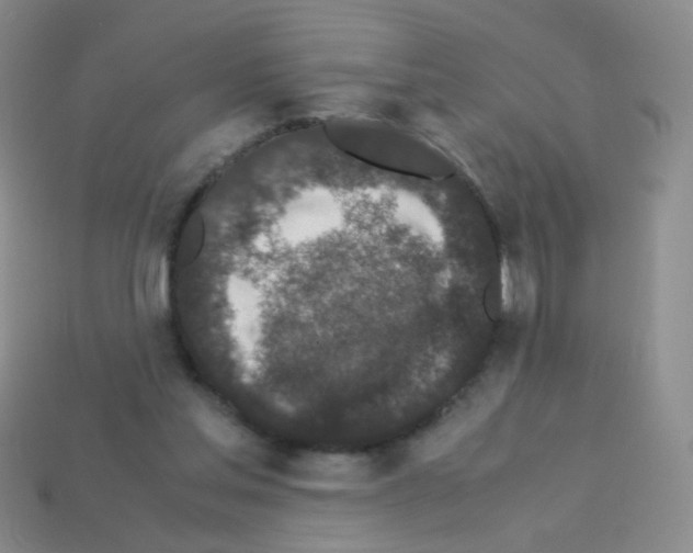 X0000113250205200910221128