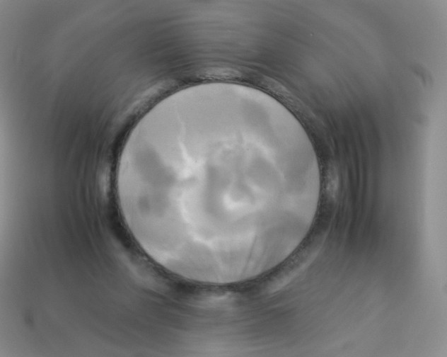 X0000113250206200910221128