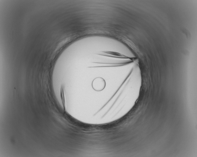 X0000113250207200910221128