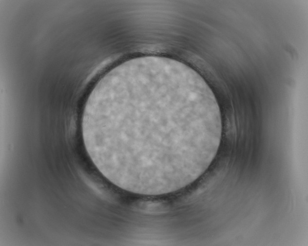 X0000113250208200910221128