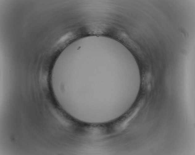 X0000113250209200910221128