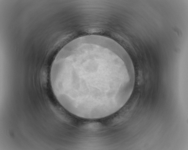 X0000113250210200910221128