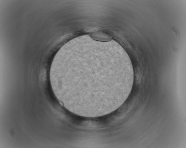 X0000113250211200910221128