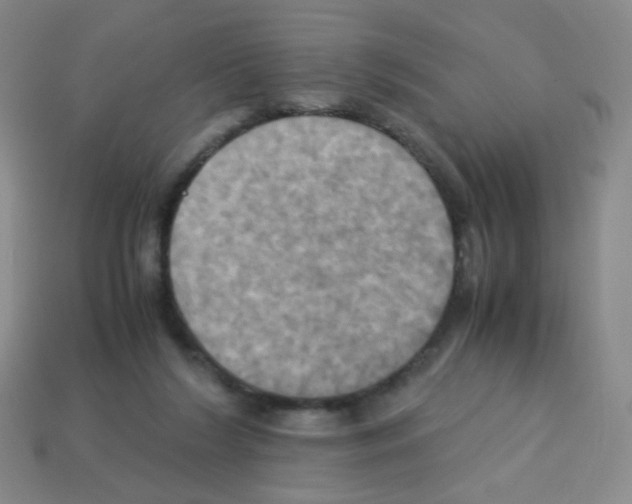 X0000113250212200910221128