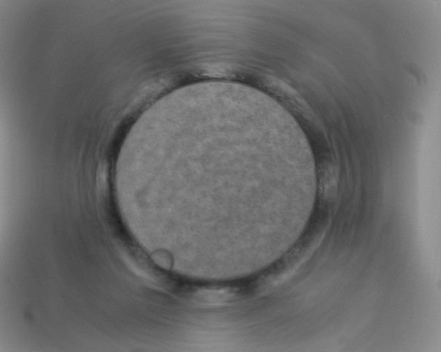 X0000113250213200910221128