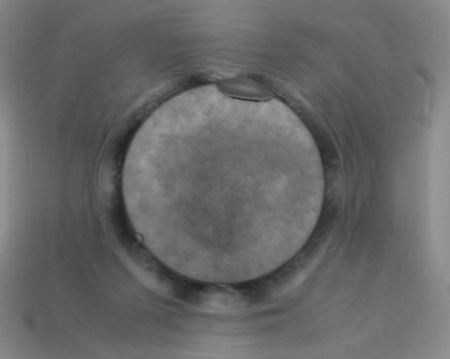 X0000113250215200910221128