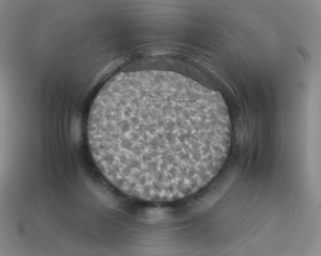 X0000113250216200910221128