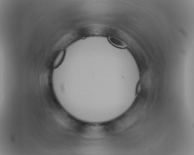 X0000113250217200910221128