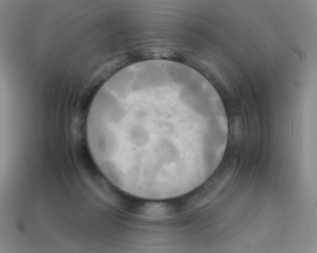 X0000113250218200910221128