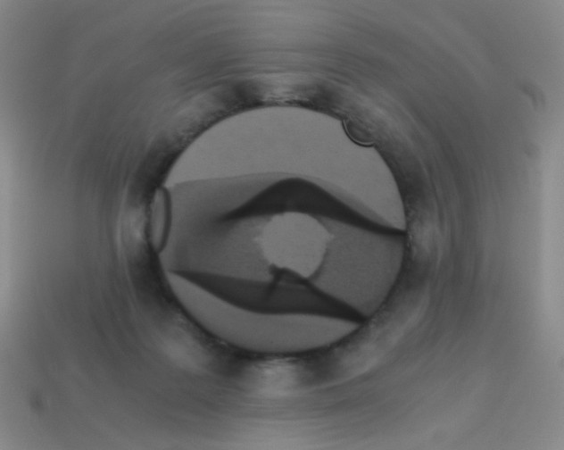 X0000113250219200910221128