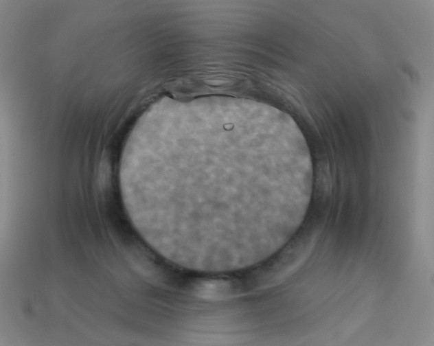 X0000113250220200910221128