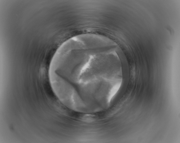 X0000113250222200910221128