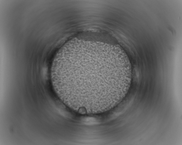 X0000113250224200910221128