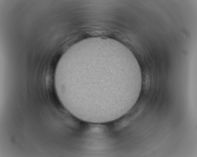 X0000113250226200910221128