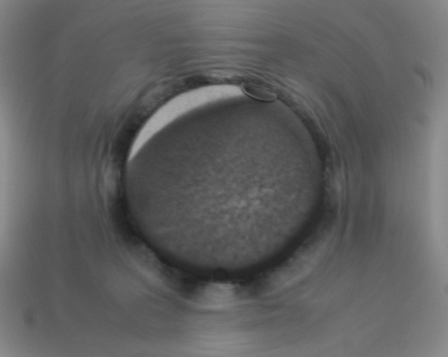 X0000113250227200910221128