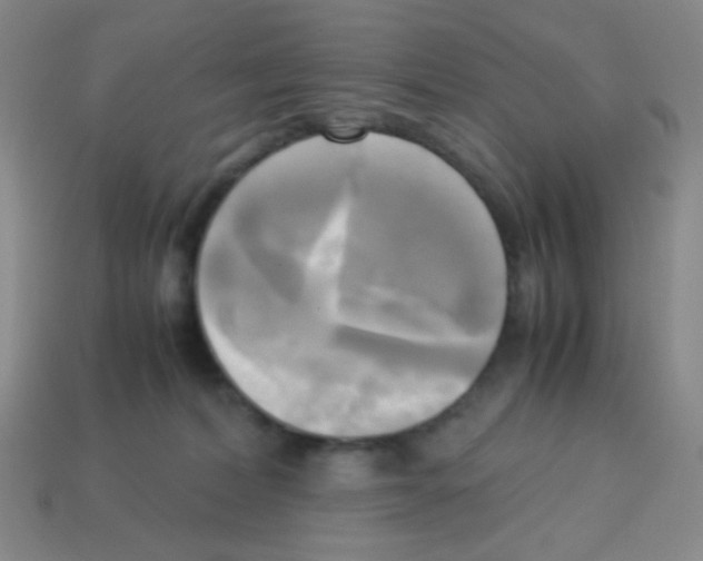 X0000113250228200910221128