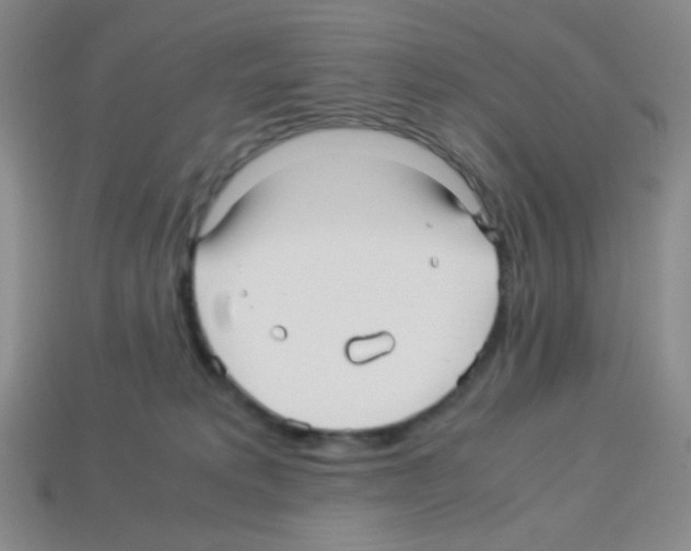 X0000113250229200910221128