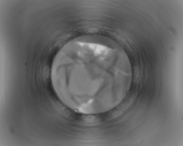 X0000113250230200910221128