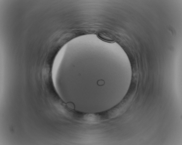 X0000113250231200910221128