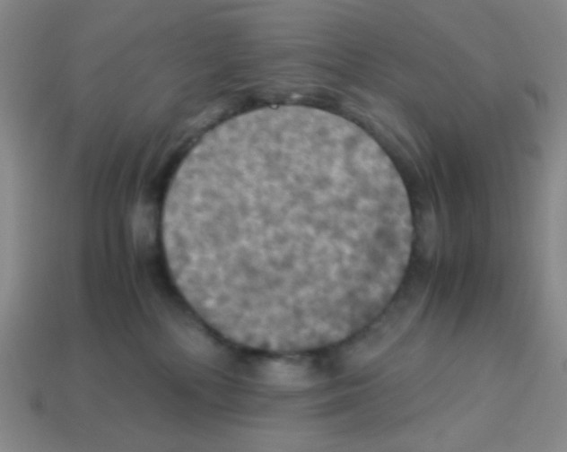 X0000113250232200910221128