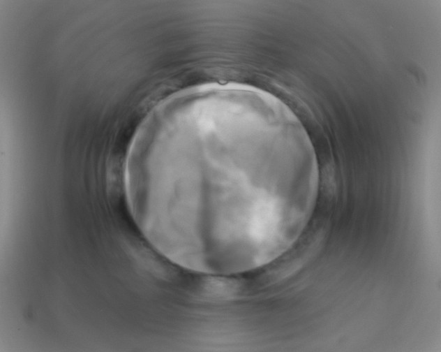 X0000113250234200910221128