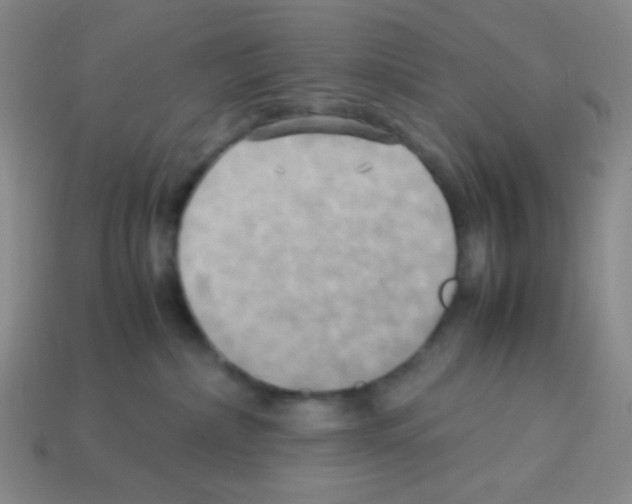 X0000113250236200910221127