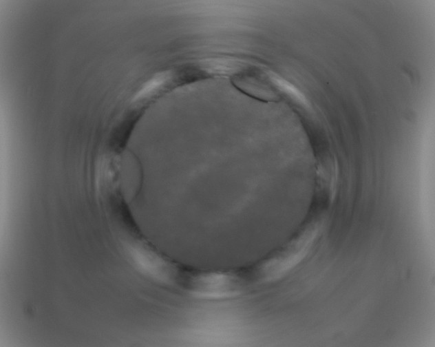 X0000113250237200910221127