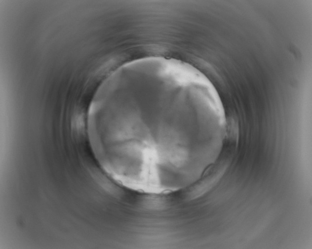 X0000113250238200910221127