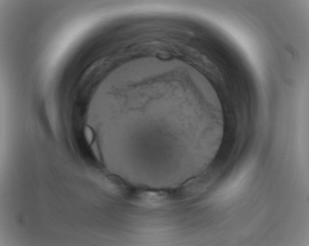 X0000113250239200910221127