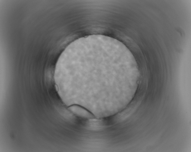 X0000113250240200910221127