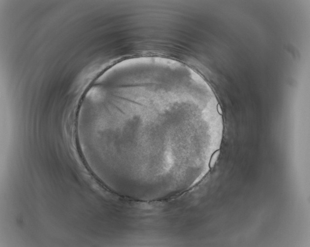 X0000113250241200910221127