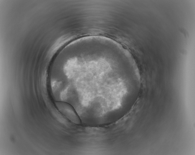 X0000113250242200910221127