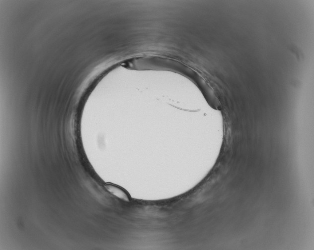 X0000113250244200910221127