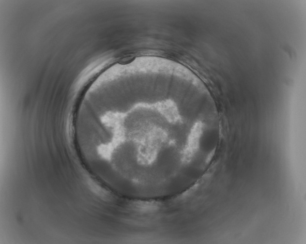 X0000113250245200910221127