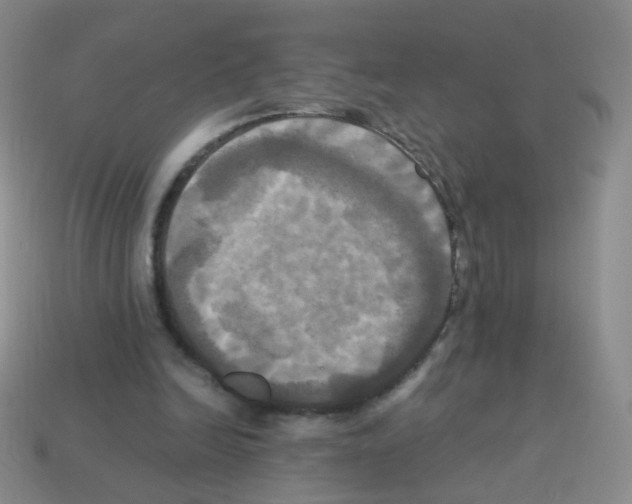 X0000113250246200910221127