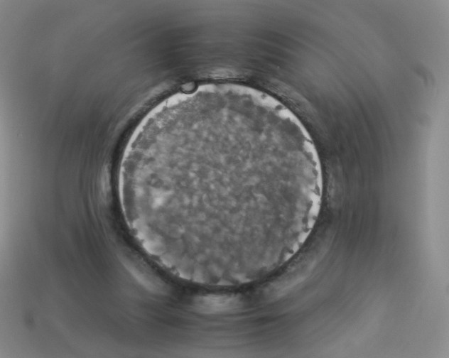 X0000113250251200910221127