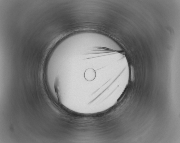 X0000113250252200910221127