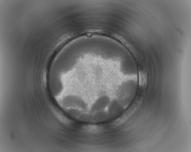 X0000113250253200910221127