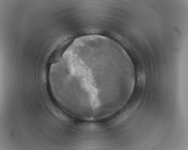 X0000113250254200910221127