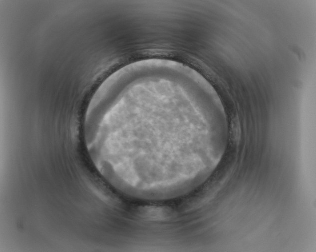 X0000113250255200910221127