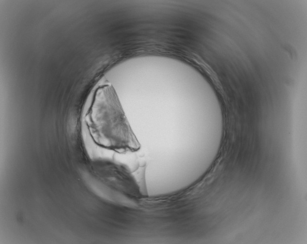 X0000113250257200910221127