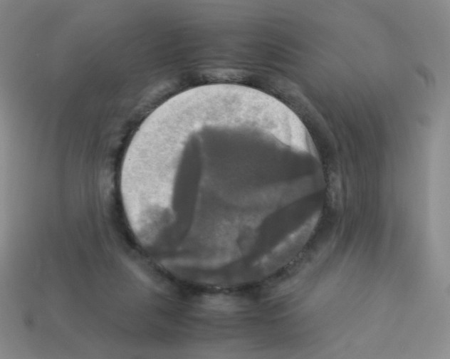 X0000113250259200910221127