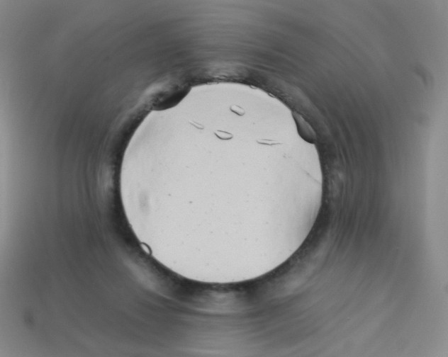 X0000113250260200910221127