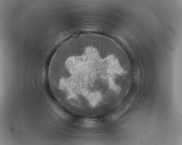 X0000113250261200910221127