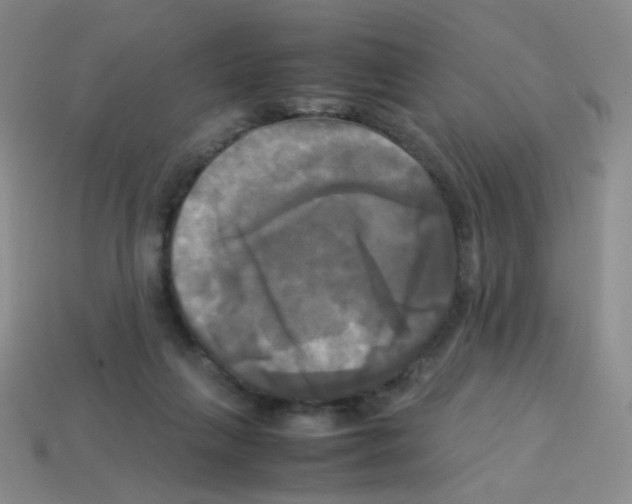 X0000113250263200910221127